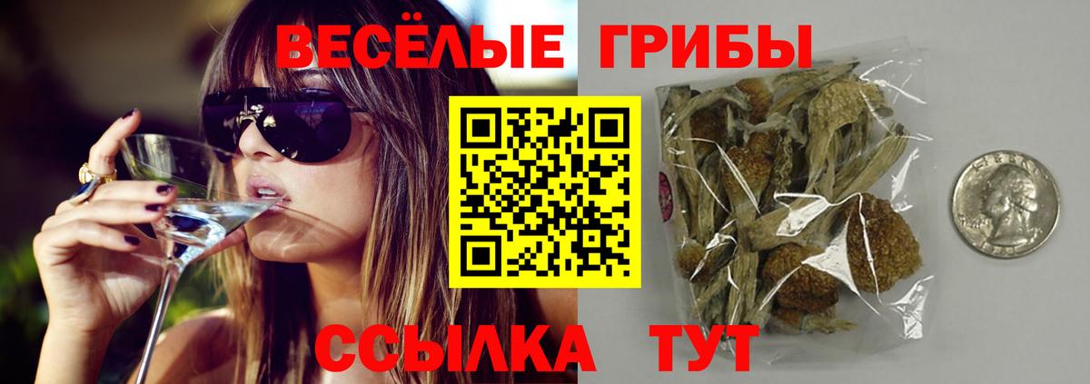 Сокол  Галлюциногенные грибы Psilocybine cubensis  дарнет шоп  Псилоцибиновые грибы GOLDEN TEACHER  Вход с VPN 